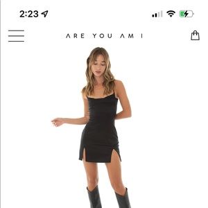 BRAND NEW, ARE YOU AM I, SILK DRESS
